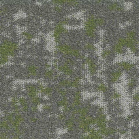 CREATE_SMALL_622_FernA