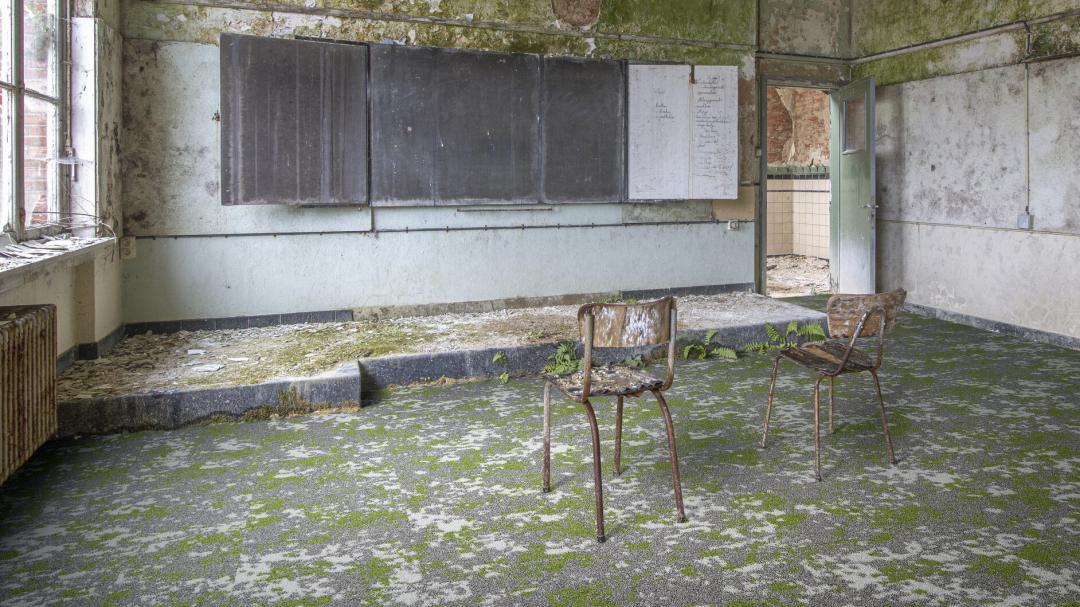 bloq small  the create collection