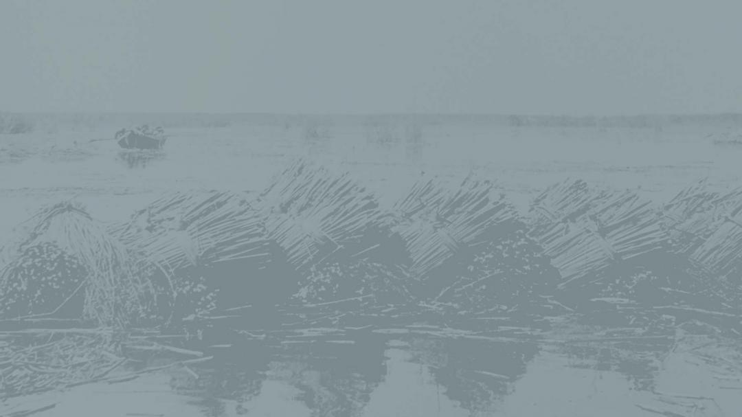 The Textured collection Background Image